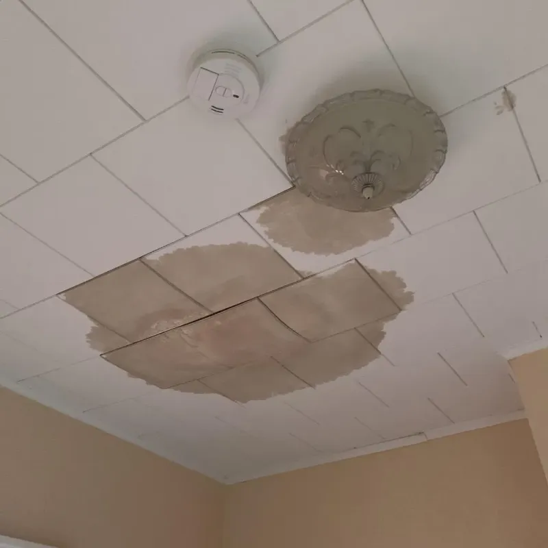 Ceiling Water Damage Repair in Arlington, OH