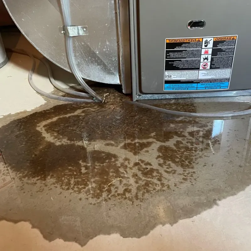 Pipe Burst and Leak Restoration in Arlington, OH