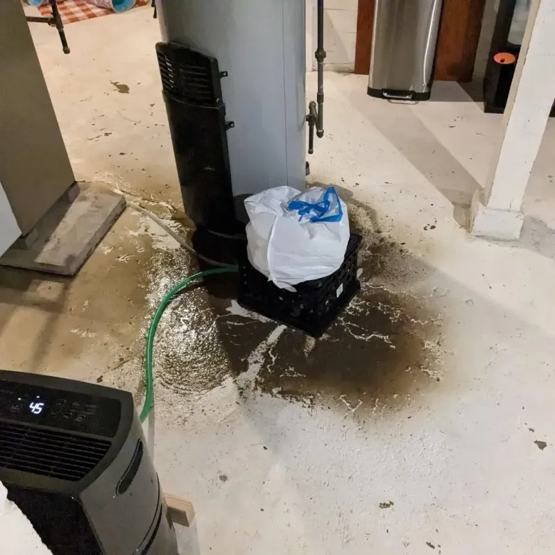 Sewage Backup Cleanup Service in Arlington, OH